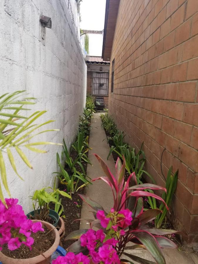 Hostal La Esperanza Antigua Kültér fotó